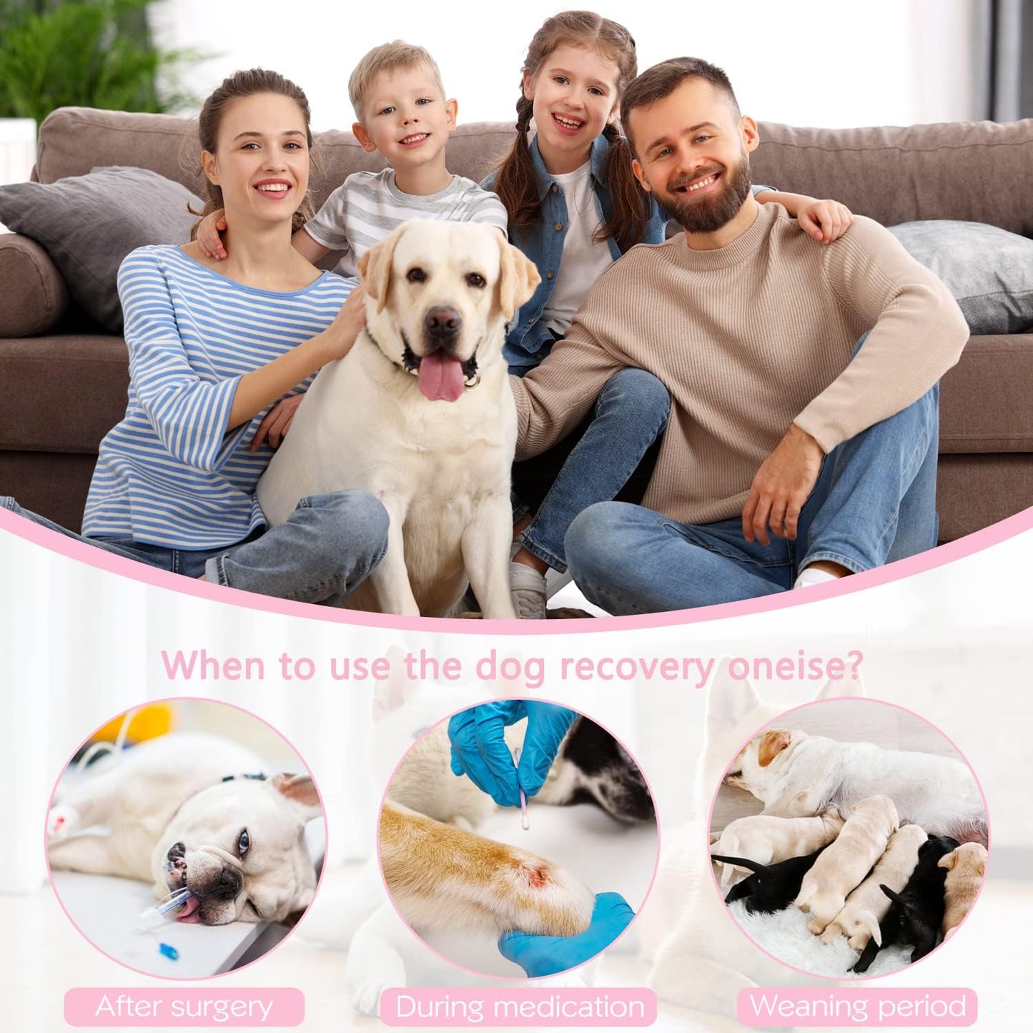 Pet Onesie Surgery Recovery Suit for Dogs Small Medium Pink Star - householdessential