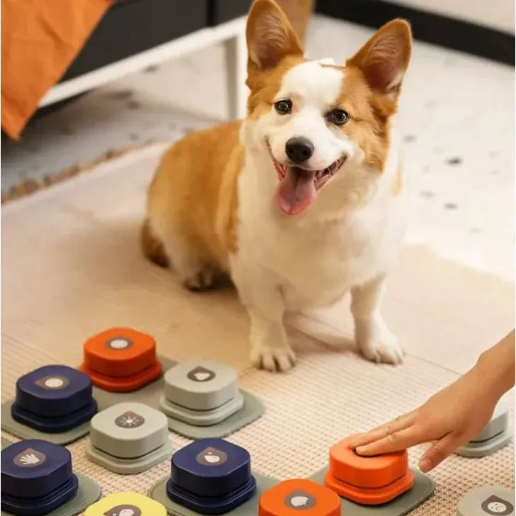 Pet Toy - householdessential