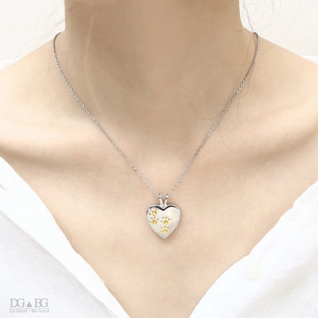 Keepsake Heart Pet Urn Titanium Steel Openable Locket Dog Caskets Cat Memorials Pendant Ash Cremation Holder Paw Print Necklace