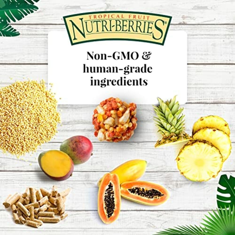 Tropical Fruit Foraging Parrot Food, Non-GMO Avian Nutritionists Formula - householdessential