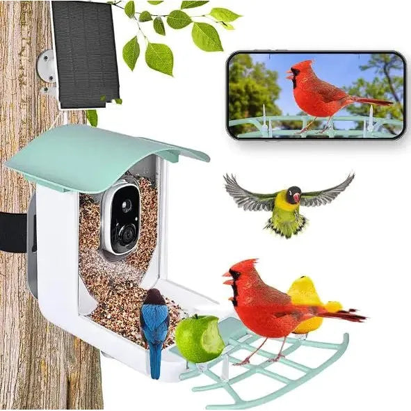 Solar - Powered Waterproof Bird Feeder with Camera - householdessential