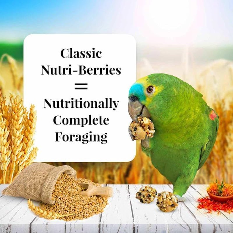 Nutri-Berries Non-GMO Parrot Food, Human-Grade & Nutritionally Complete Diet, 3.25 lb - householdessential
