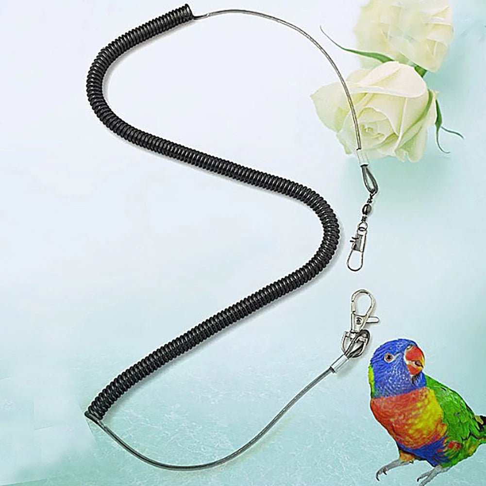 Parrot Training Leash + Bird Flying Rope Combo Set - Cockatiel Supplies - householdessential
