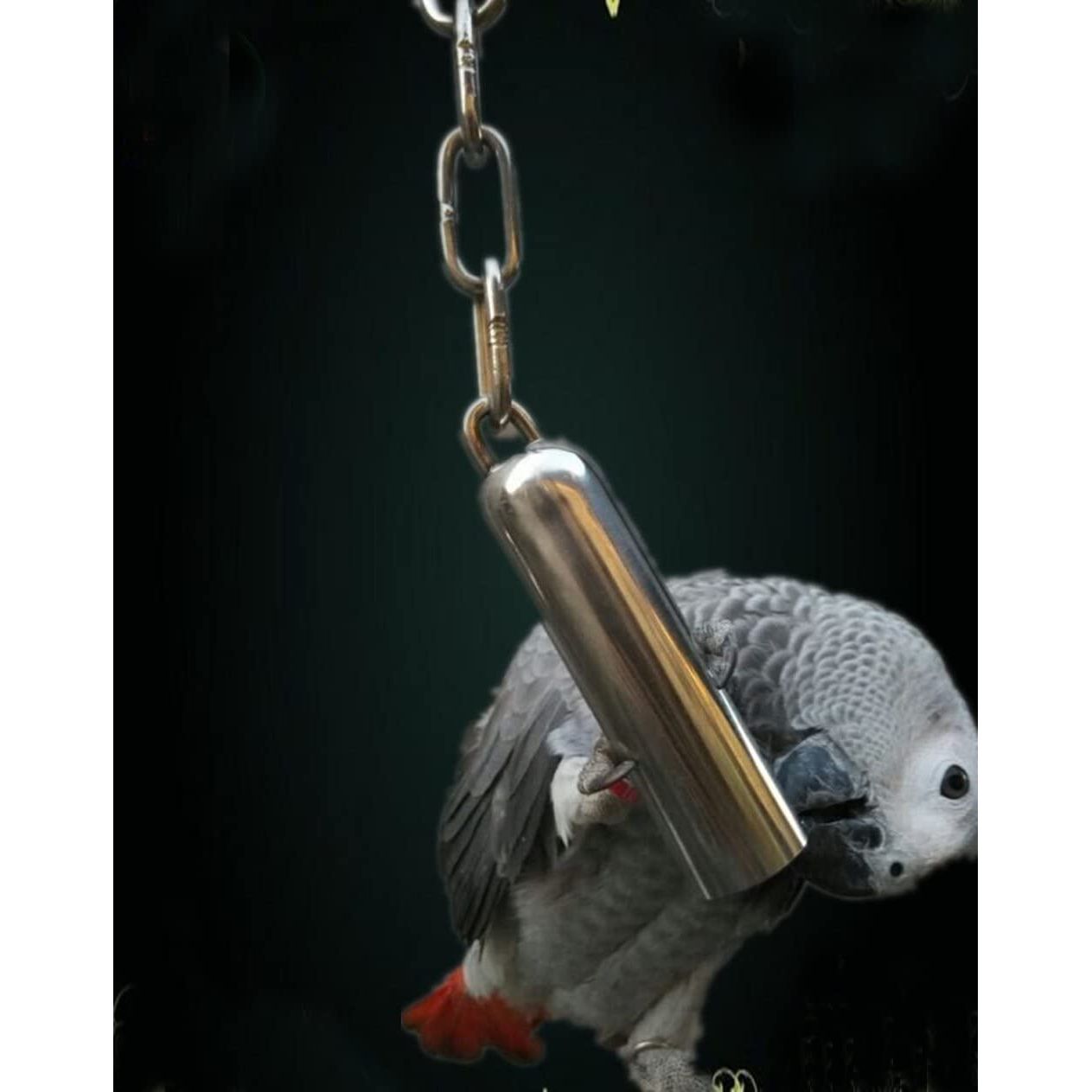Heavy Duty Bird Toy, Stainless Steel Parrot Bell for African Greys & More - householdessential