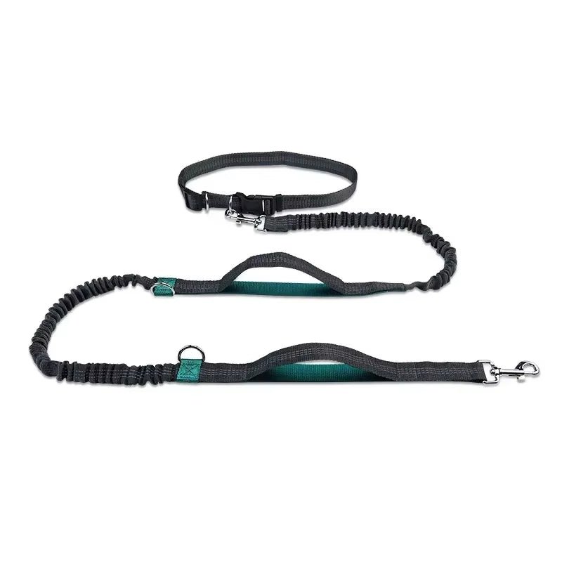 Retractable Hands Free Dog Leash for Running Judge Leash Large Dog Pet Supplies - householdessential