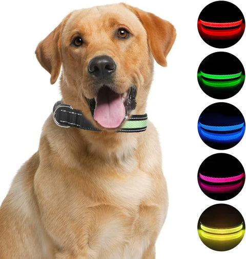 LED Small Dog Collar, Light up Safety Puppy Collar, Rechargeable Lighted Dog Collar, Adjustable Pet Lights for Night Walking, Waterproof Dog Collar Light, Dog Collar for Small Dogs,Green