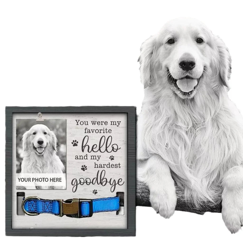 Pet Picture Frame Memorials Dog Collar Frame Remembrance Sympathy Gift for Loss - householdessential