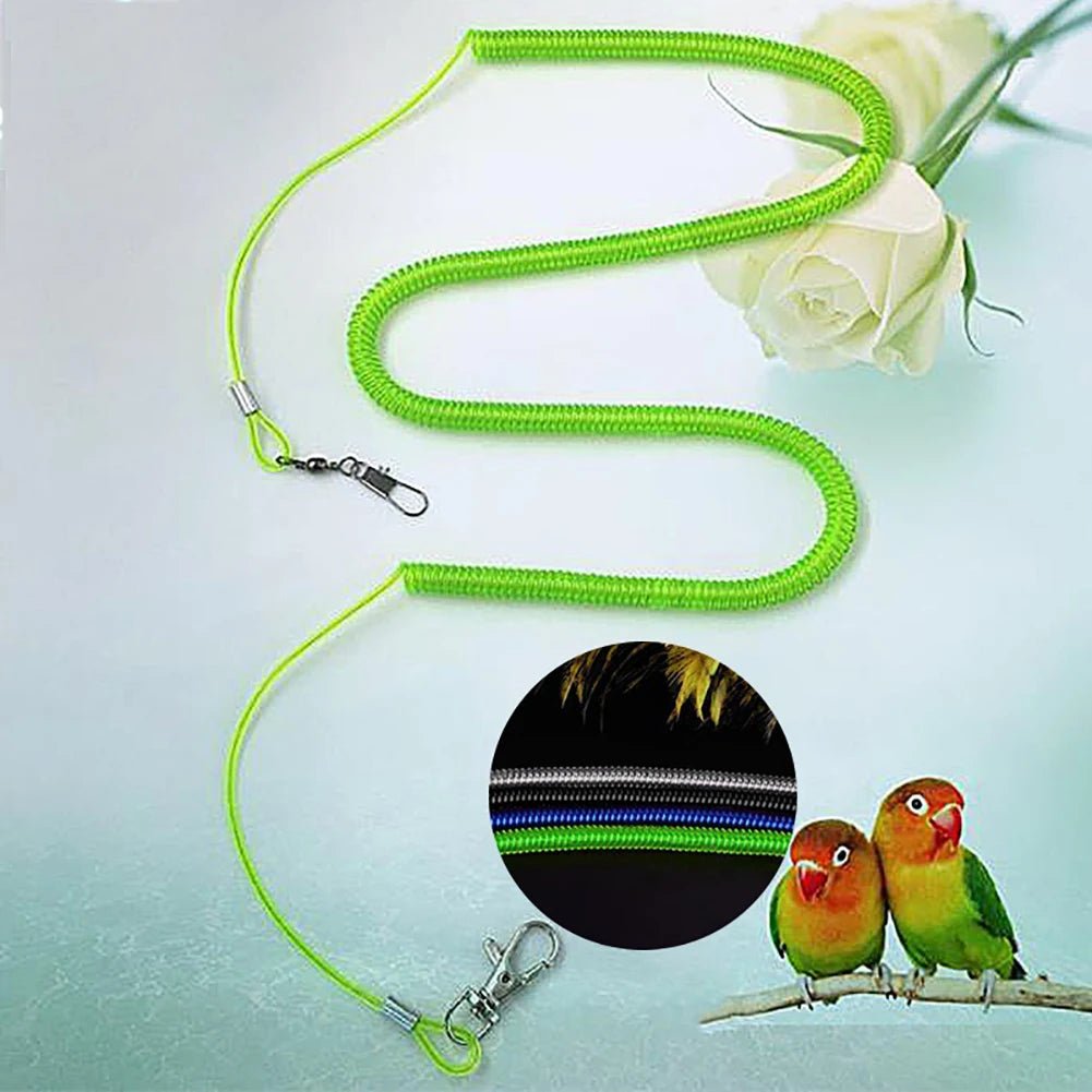 Parrot Training Leash + Bird Flying Rope Combo Set - Cockatiel Supplies - householdessential