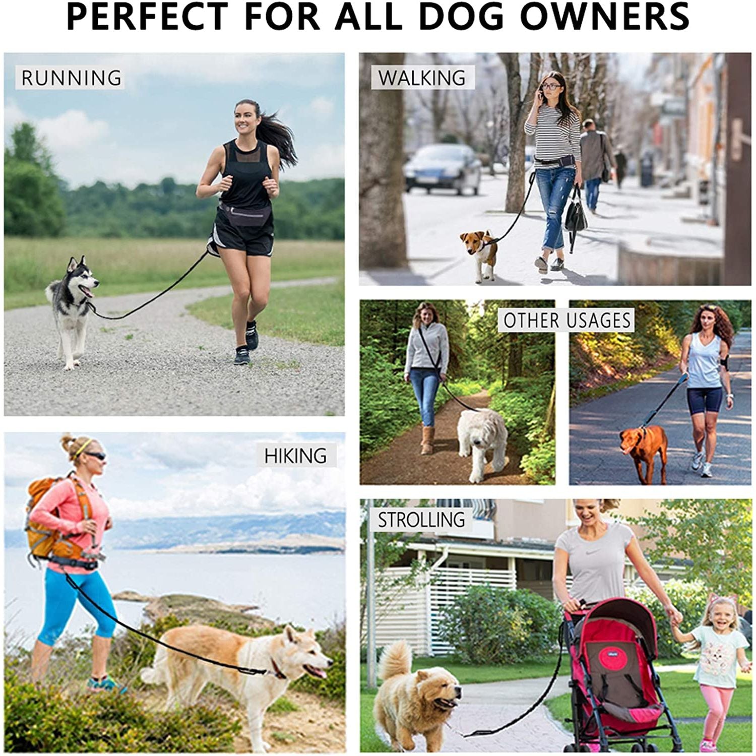 Hands Free Dog Leash with Waist Running Pouch - householdessential