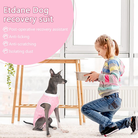 Dog Recovery Suit for Female Male Dog Onesie for Surgery Surgical Suit after Spayed Dogs Neuter Body Suits Fit Small Medium Dogs with Pee Hole Pink Star/Medium
