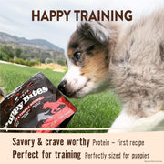 CORE Grain Free Puppy Bites, Beef & Turkey Recipe, 3 Oz Bag