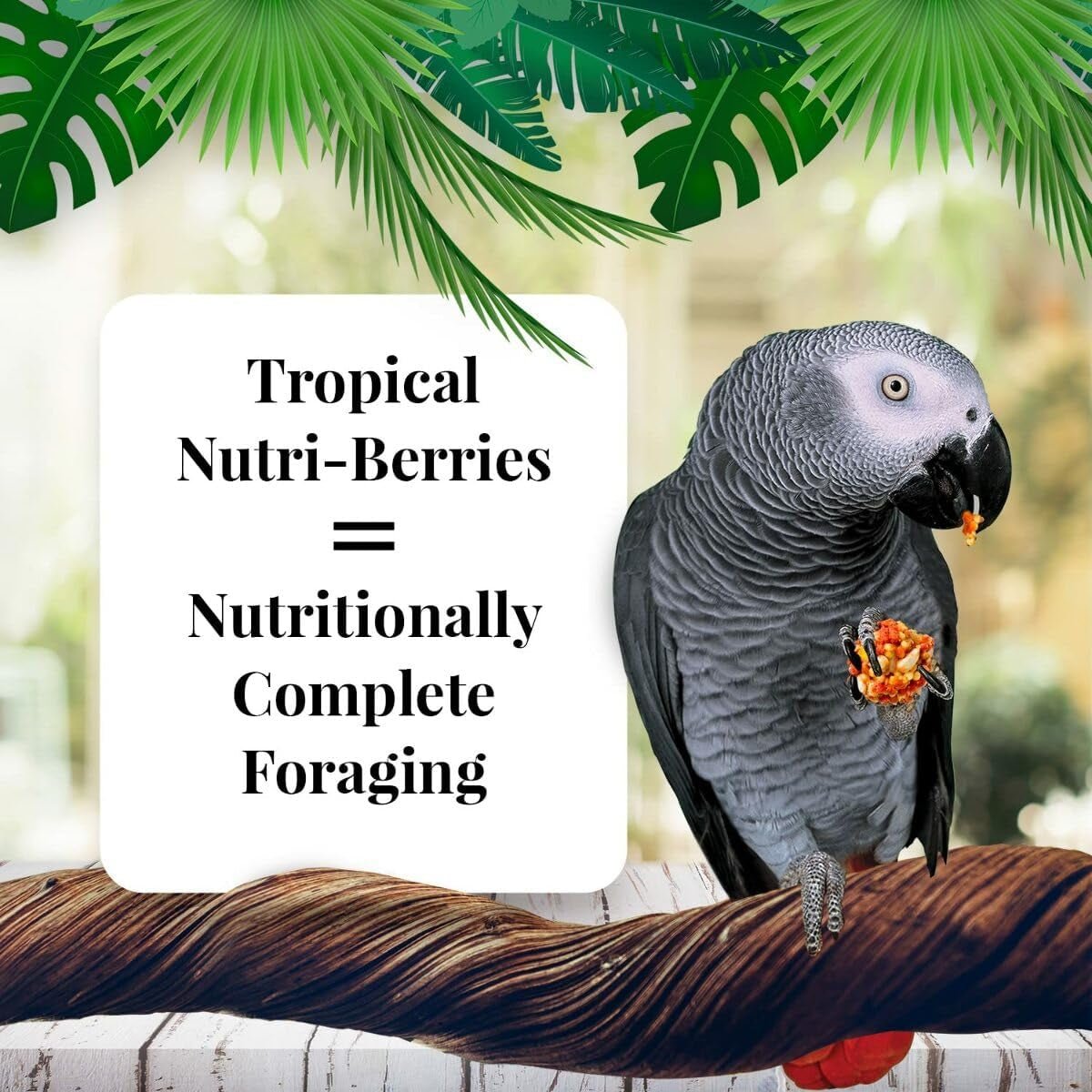 Tropical Fruit Foraging Parrot Food, Non-GMO Avian Nutritionists Formula - householdessential