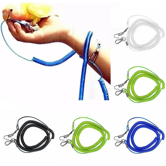 Parrot Training Leash + Bird Flying Rope Combo Set - Cockatiel Supplies - householdessential