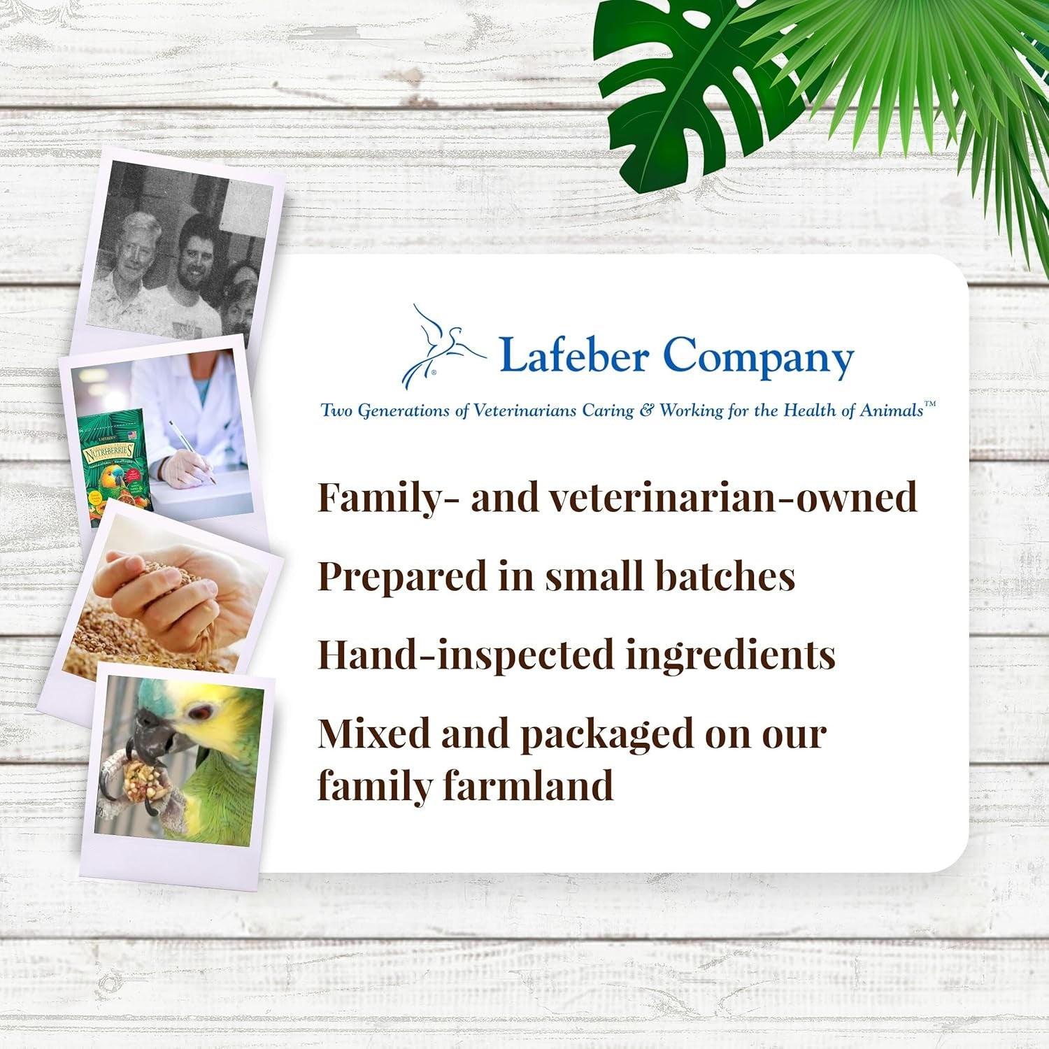 Tropical Fruit Foraging Parrot Food, Non-GMO Avian Nutritionists Formula - householdessential
