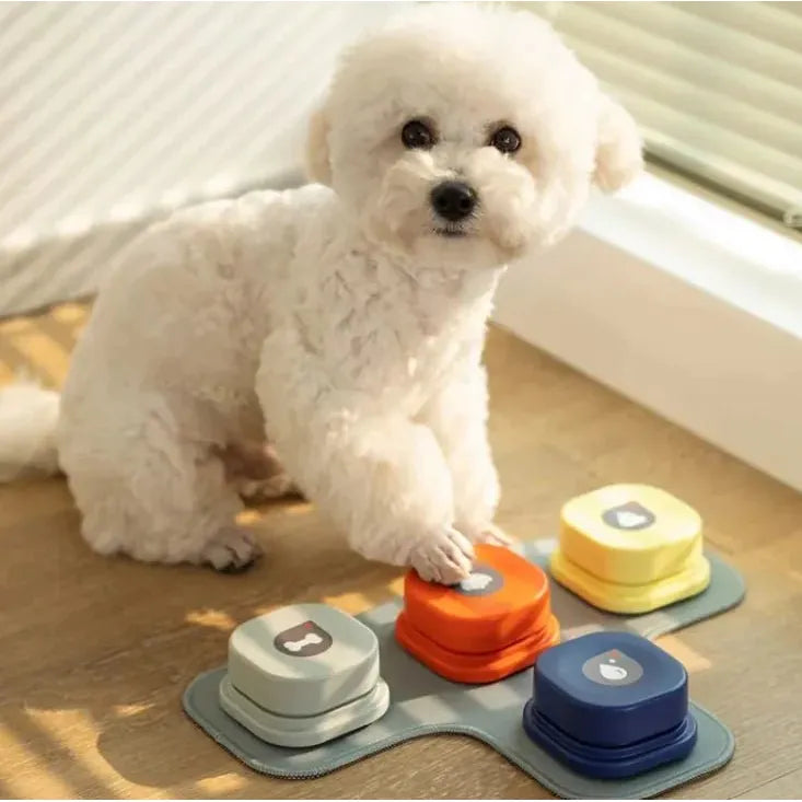 Pet Toy - householdessential