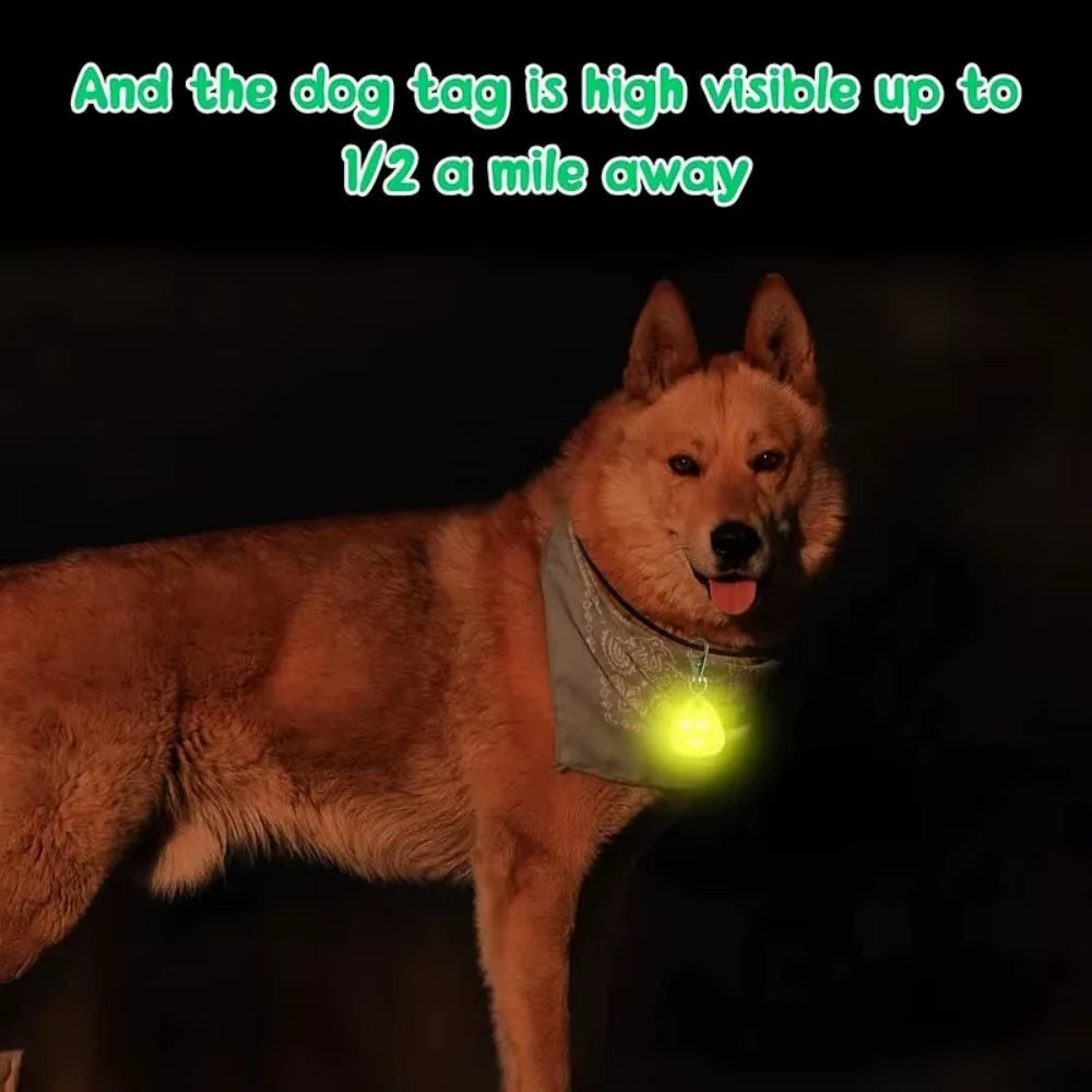 Waterproof LED Pet Collar Light for Outdoor Dog Walking Safety - householdessential