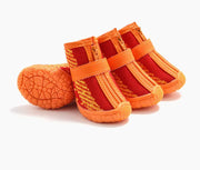 Pet Shoes