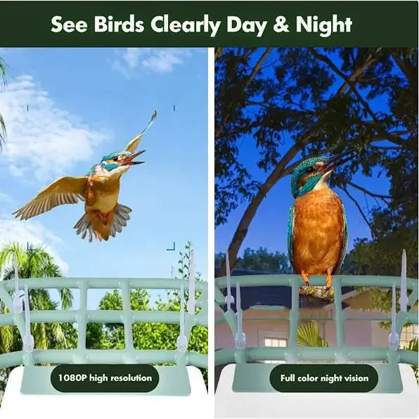 Solar - Powered Waterproof Bird Feeder with Camera - householdessential