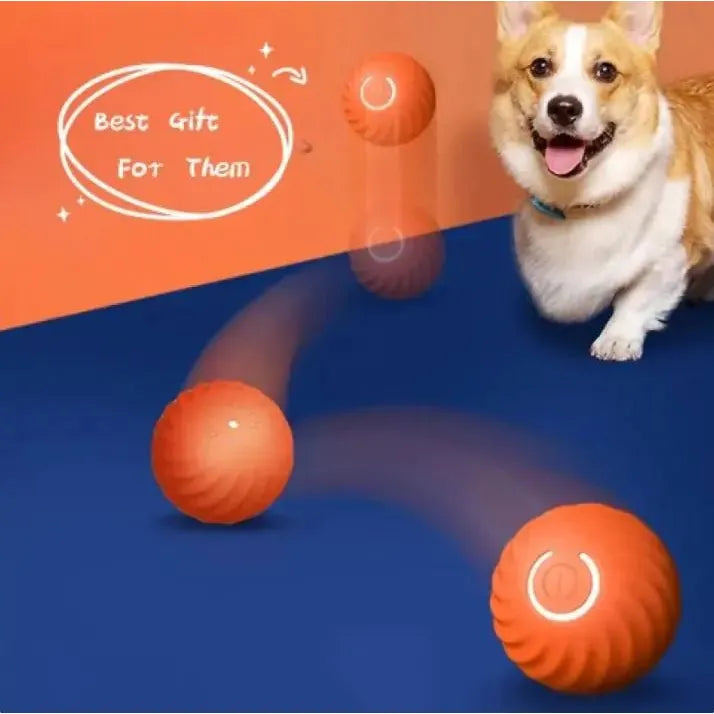 Pet Dog Rubber Ball Toys For Dogs - householdessential