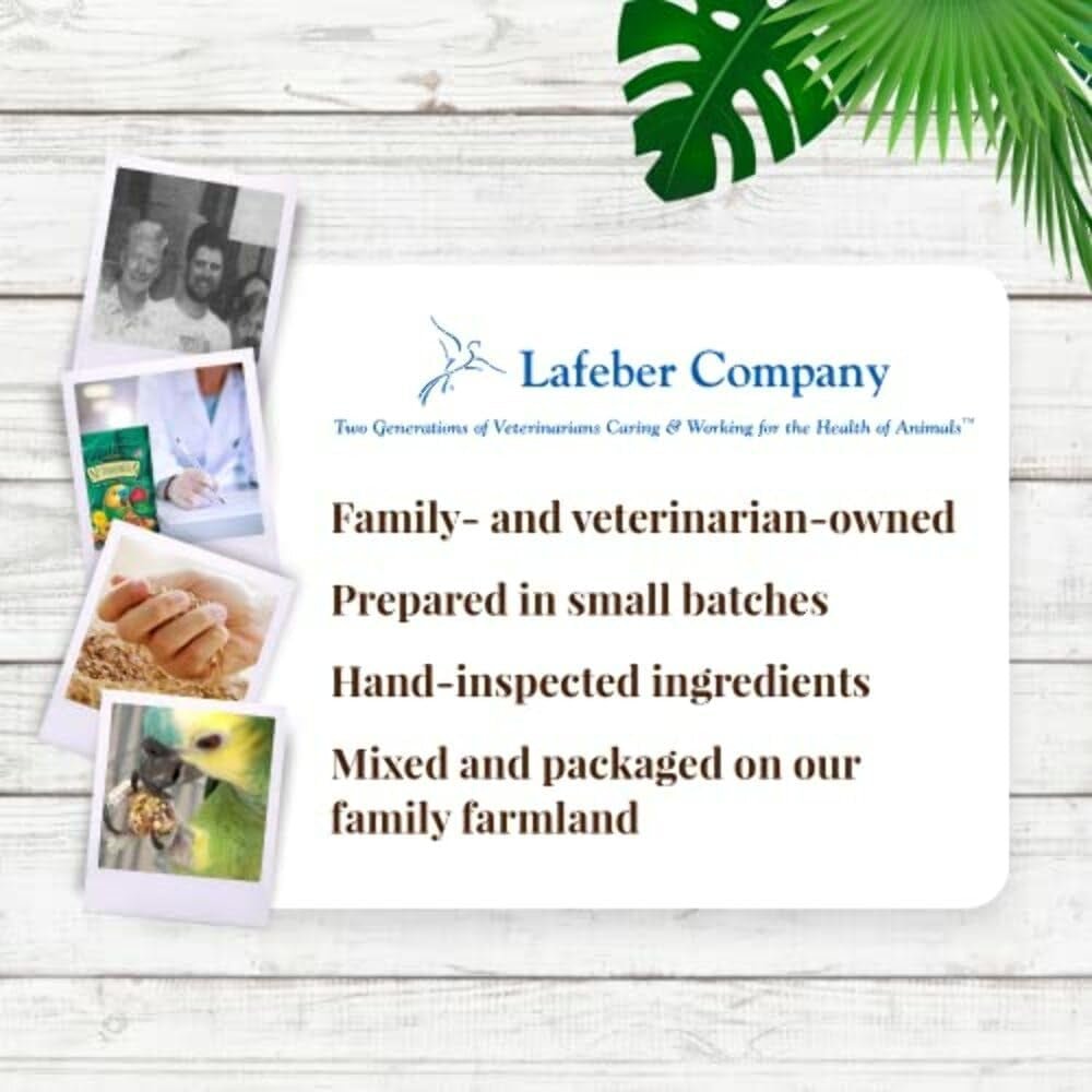 Tropical Fruit Foraging Parrot Food, Non-GMO Avian Nutritionists Formula - householdessential