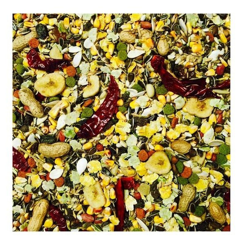 Bucktons Elite Parrot Bird Food 12.75Kg Seed Feed Mix Fruity Blend for Parrots - householdessential