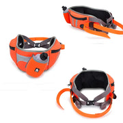 Pet Waist Leash Dog Walking Fanny Pack with Phone Holder Dog Poop Bag Pocket Dog Treat Pouch and Bottle Holder TLB2151