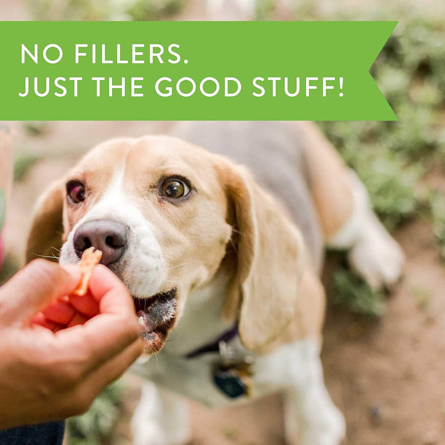 Vitality Chicken & Mango Jerky - Meaty Dog Treats for Overall Health - 12 Oz - householdessential