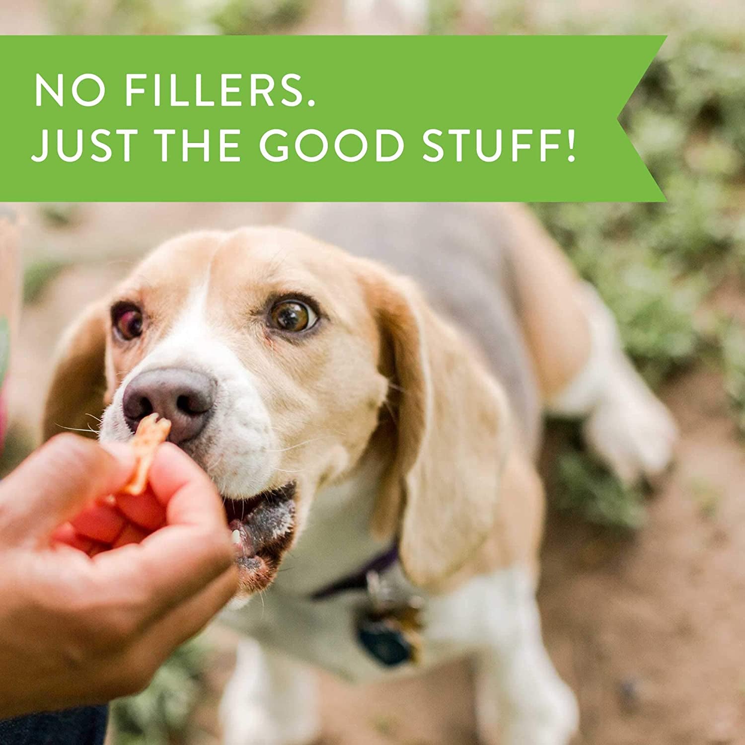 Vitality Chicken & Mango Jerky - Meaty Dog Treats for Overall Health - 12 Oz - householdessential