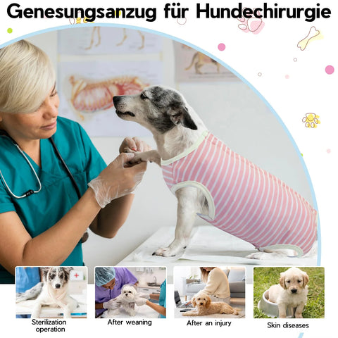 Dog Surgical Suit, Striped Dog Onesie Surgery Recovery Suit, Dog Surgical Vest, Post-Operative Bodysuit Dog, Pet after Surgery Wear Substitute E-Collar & Cone (Pink +Green S)