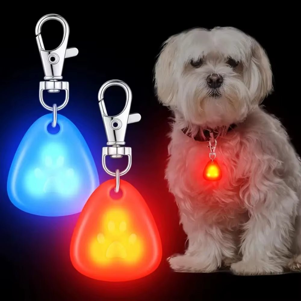 Waterproof LED Pet Collar Light for Outdoor Dog Walking Safety - householdessential