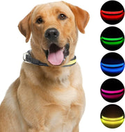 LED Large Dog Collar, Light up Safety Puppy Collar, Rechargeable Lighted Dog Collar, Adjustable Pet Lights for Night Walking, Waterproof Dog Collar Light, Dog Collar for Large Dog,Yellow