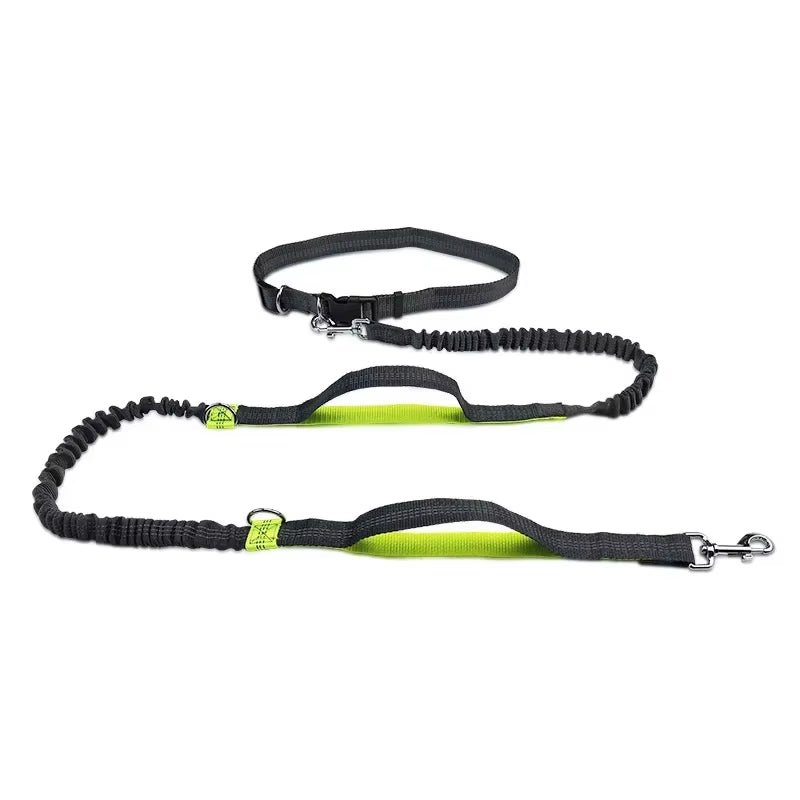 Retractable Hands Free Dog Leash for Running Judge Leash Large Dog Pet Supplies - householdessential