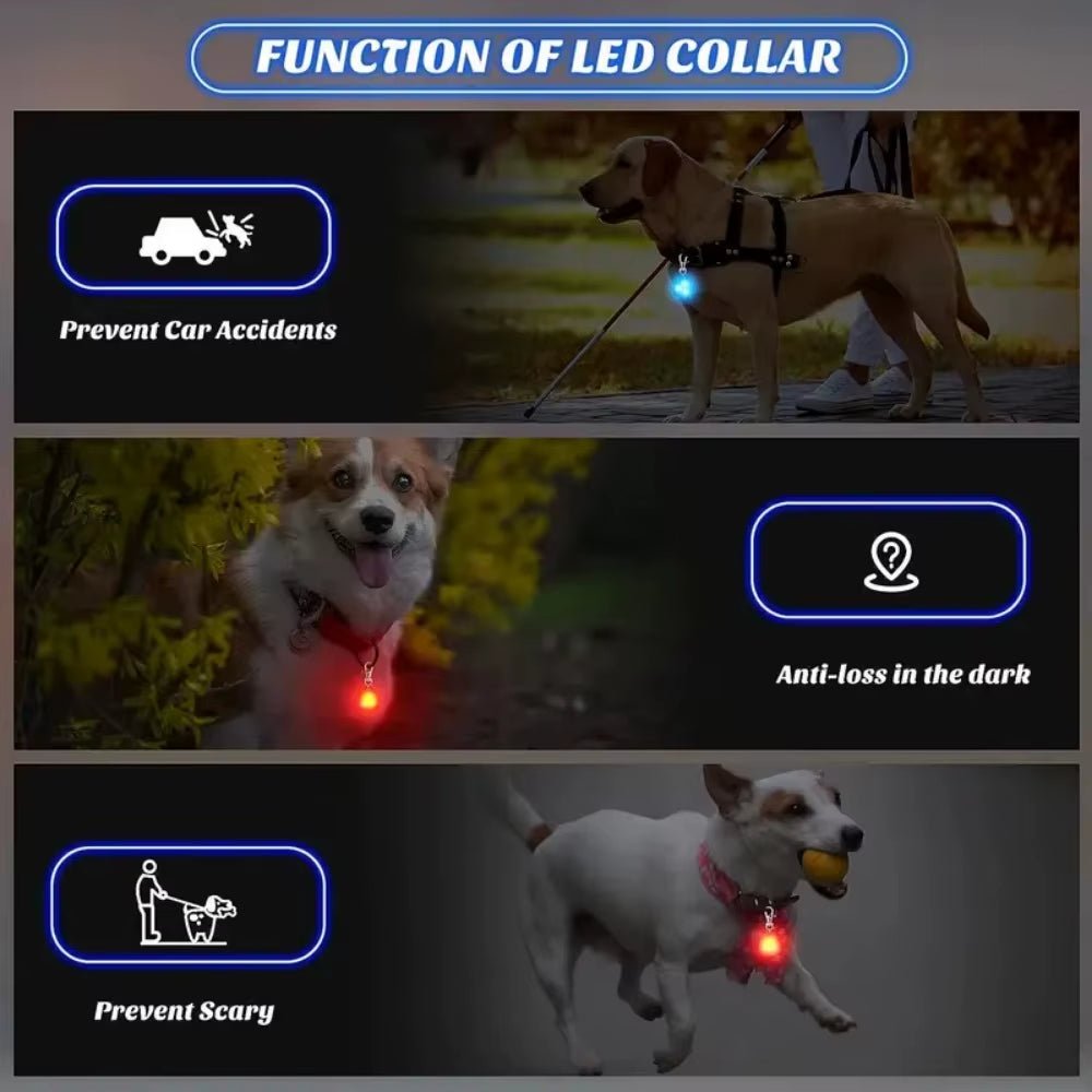 Waterproof LED Pet Collar Light for Outdoor Dog Walking Safety - householdessential