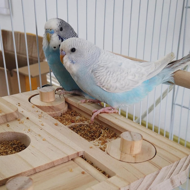 Wooden Bird Foraging Feeder Toys, Training Intelligence Toys Reducing Boredom for Parrots Parakeet, Cockatiel, Sun Conures, Caique, Cockatoo, African Grey, Macaws