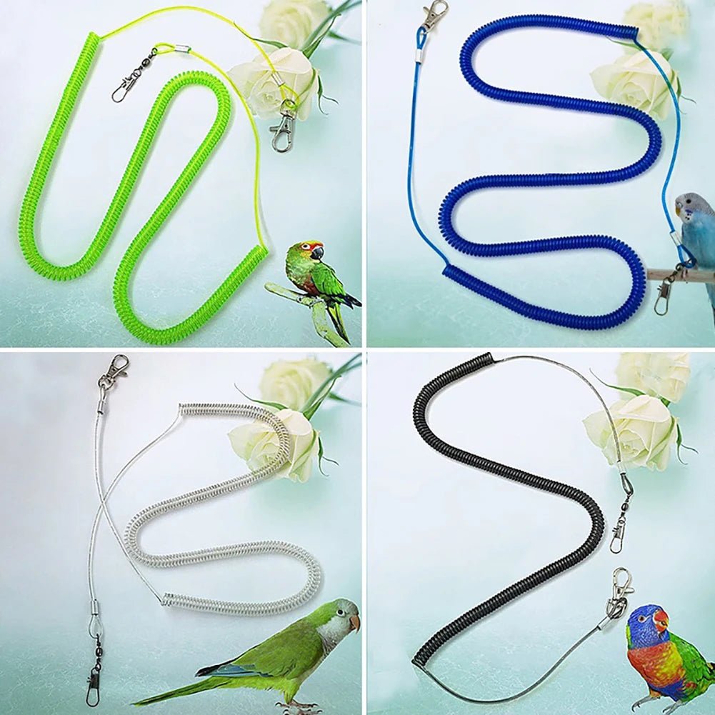 Parrot Training Leash + Bird Flying Rope Combo Set - Cockatiel Supplies - householdessential