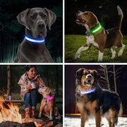LED Large Dog Collar, Light up Safety Puppy Collar, Rechargeable Lighted Dog Collar, Adjustable Pet Lights for Night Walking, Waterproof Dog Collar Light, Dog Collar for Large Dog,Yellow