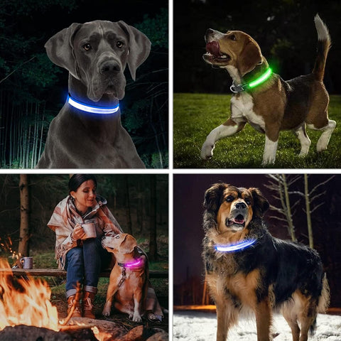 LED Large Dog Collar, Light up Safety Puppy Collar, Rechargeable Lighted Dog Collar, Adjustable Pet Lights for Night Walking, Waterproof Dog Collar Light, Dog Collar for Large Dog,Yellow