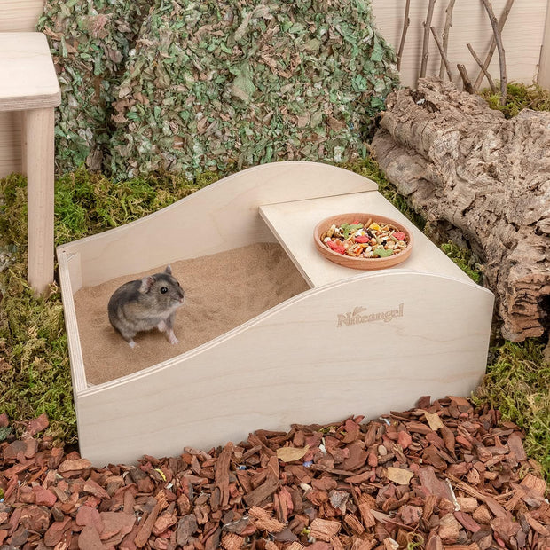Hamster Sand Bath Dust Free Box - Wooden Critter'S Shower & Digging Sand Bathtub for Small Animals like Hamsters Mice Lemming or Gerbils (Medium-11.8-Inch L X 7.8-Inch W)