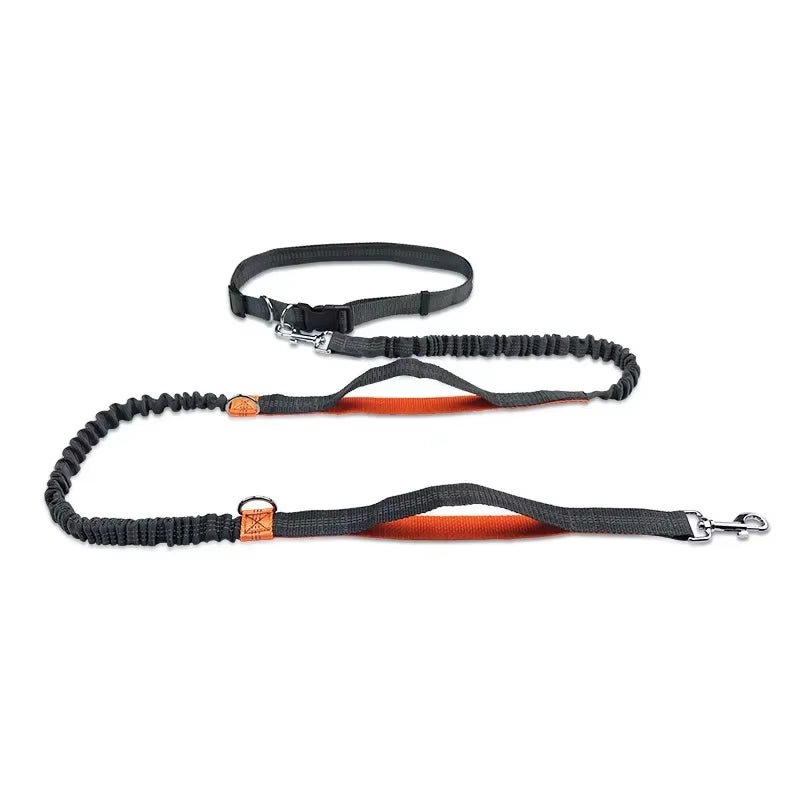Retractable Hands Free Dog Leash for Running Judge Leash Large Dog Pet Supplies - householdessential