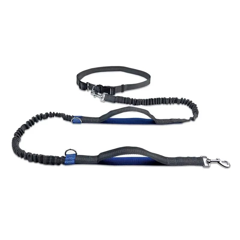 Retractable Hands Free Dog Leash for Running Judge Leash Large Dog Pet Supplies - householdessential