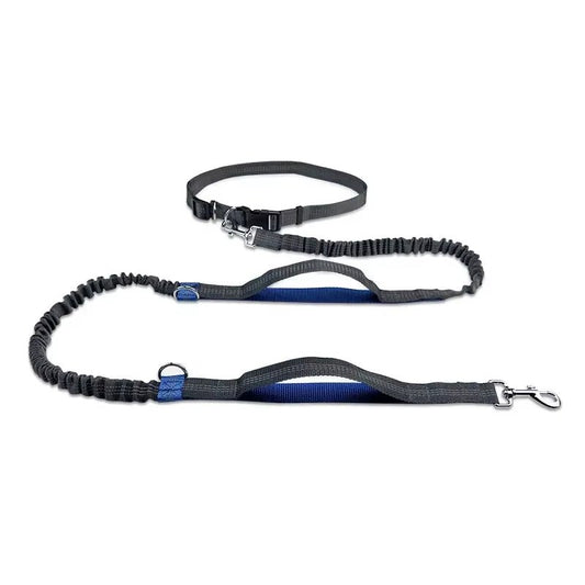 Retractable Hands Free Dog Leash for Running Judge Leash Large Dog Pet Supplies - householdessential