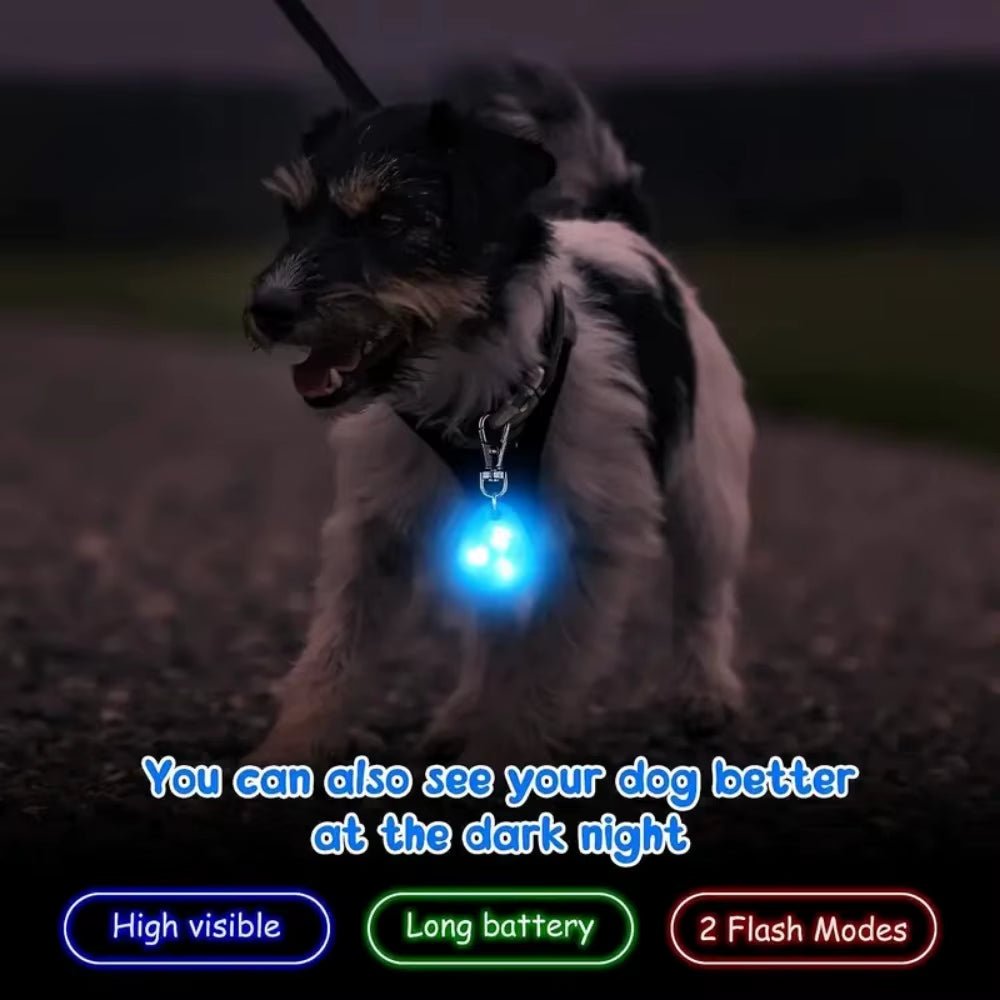 Waterproof LED Pet Collar Light for Outdoor Dog Walking Safety - householdessential