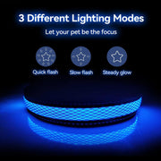 LED Small Dog Collar, Light up Safety Puppy Collar, Rechargeable Lighted Dog Collar, Adjustable Pet Lights for Night Walking, Waterproof Dog Collar Light, Dog Collar for Small Dogs,Green