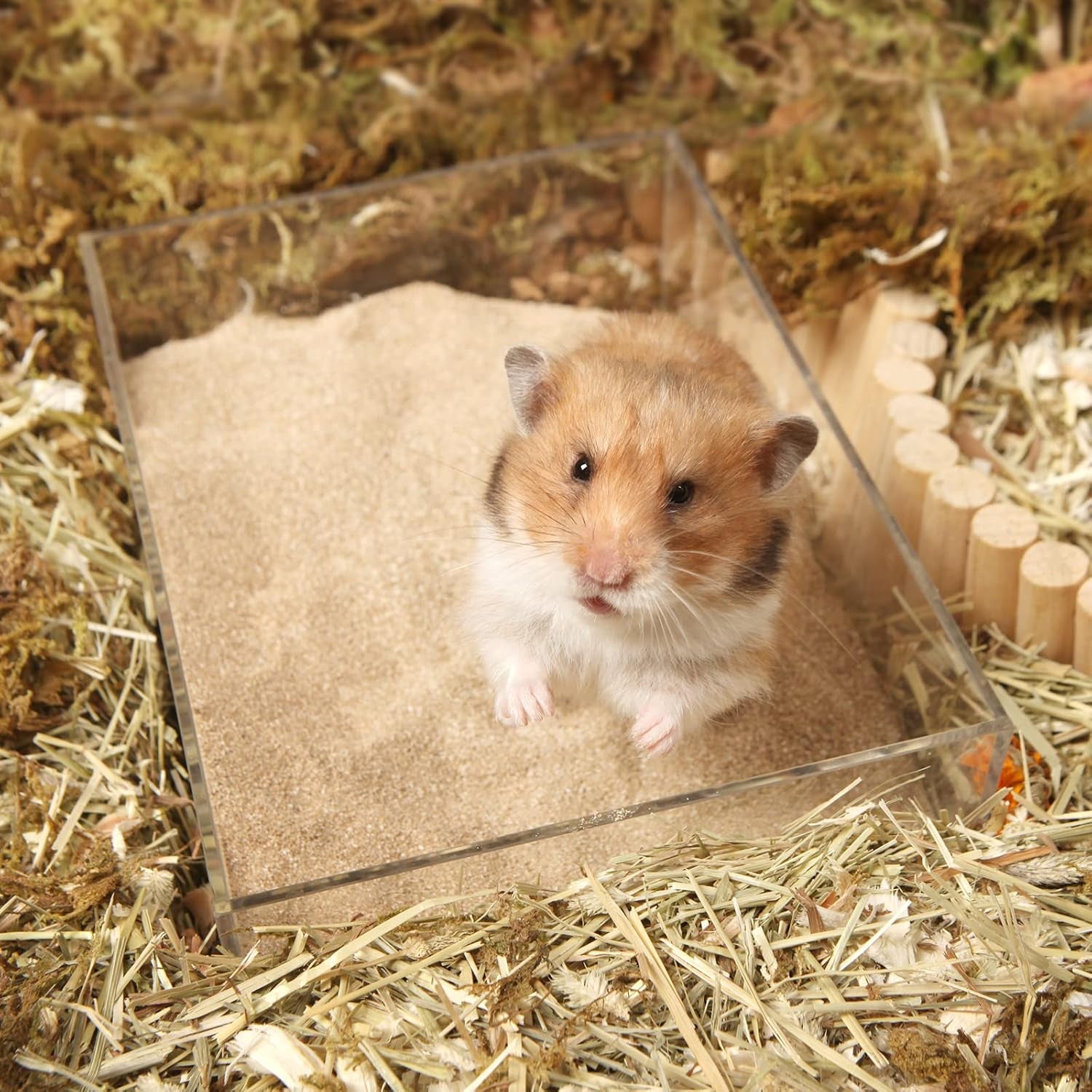 Bath Sand for Hamster Pets Dust Free Desert Sand Small Animals Bathing Sand 3.3Lb/1.5Kg (Fine Sand) - householdessential