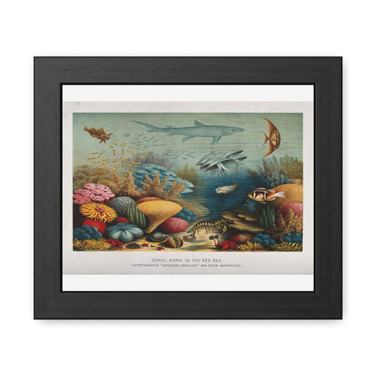E. Haeckel A Coral Reef in the Red Sea Framed Posters - householdessential