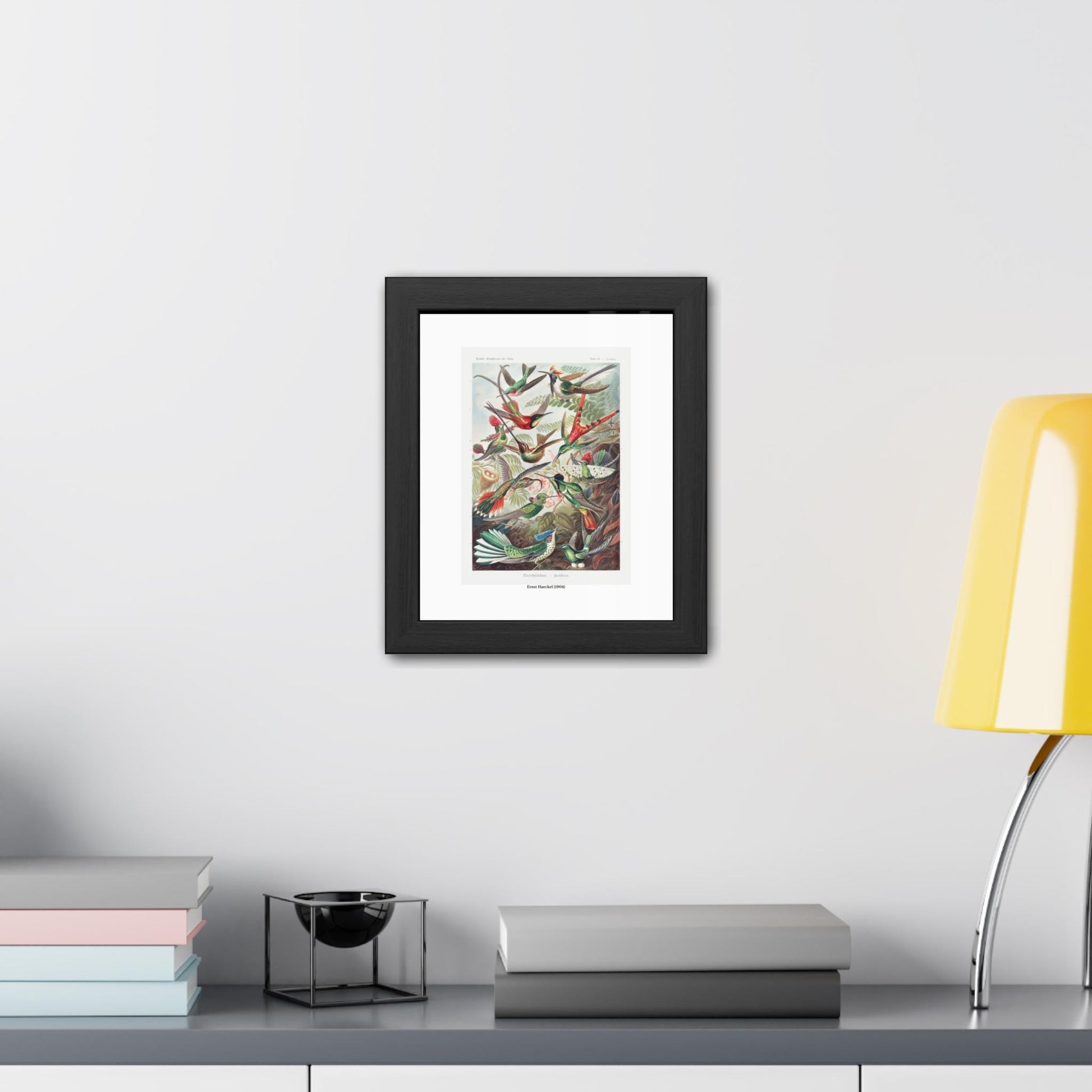 Ernst Haeckel (1904) Trochilidae - Kolibris Framed Poster | Vintage Bird Print - householdessential