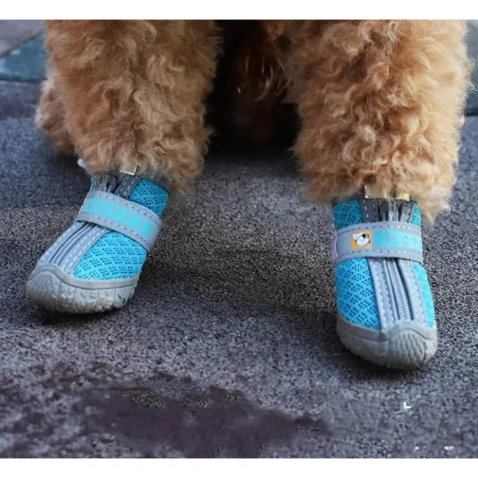 Pet Shoes - householdessential