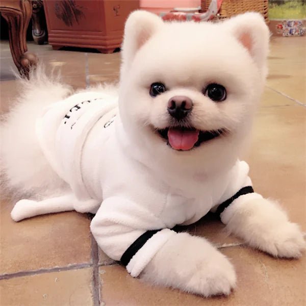 Hooded Pajamas Dog Bathrobe - White Dog Clothing - householdessential