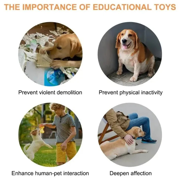 Pet Toy - householdessential