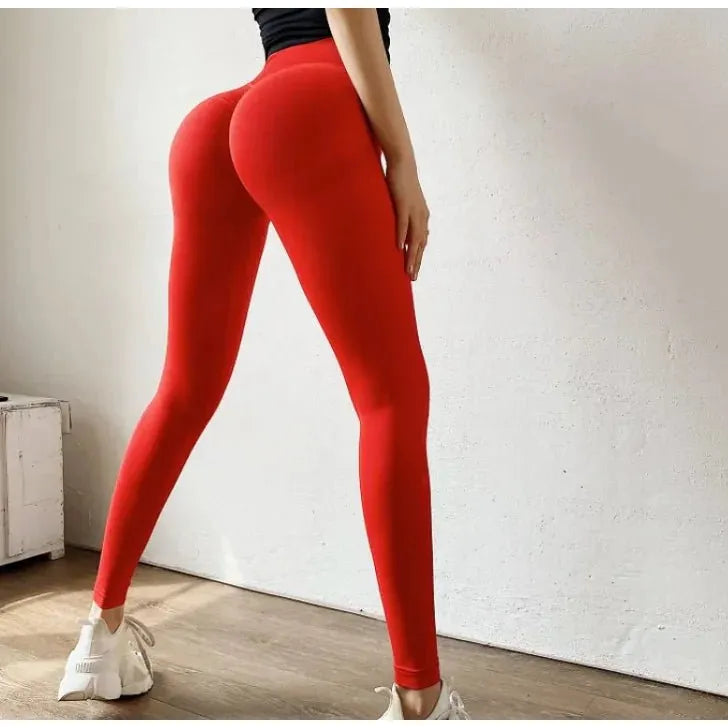 Yoga Pants - householdessential